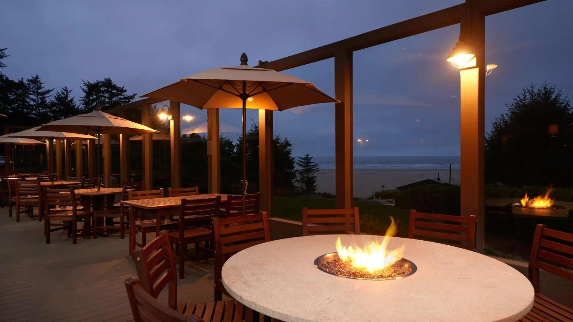 Staying Near Oregon Undersea Gardens: 5 Budget Hotels Compared
